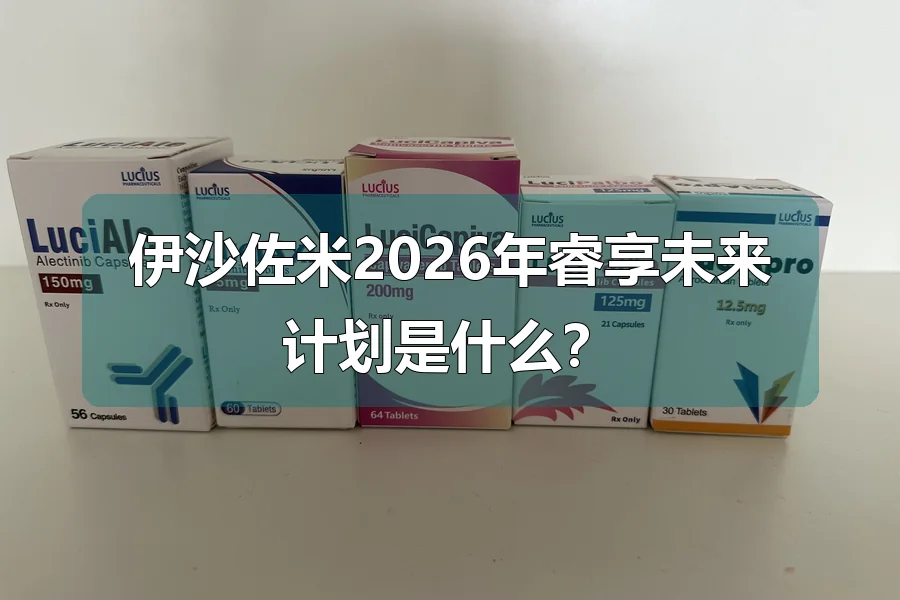 伊沙佐米2026年睿享未来计划是什么？